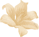 cta-flower.png