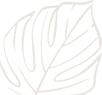 faq-search-flower-1-1.png