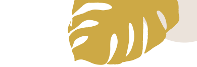 faq-search-leaf-1-1.png